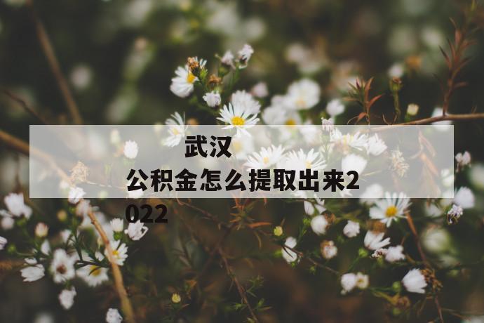 武汉公积金怎么提取出来2022
武汉公积金怎么提取出来2022