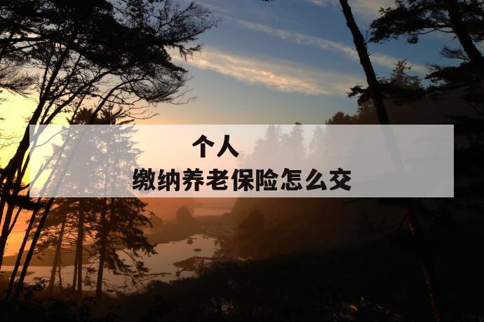 个人缴纳养老保险怎么交
个人缴纳养老保险怎么交