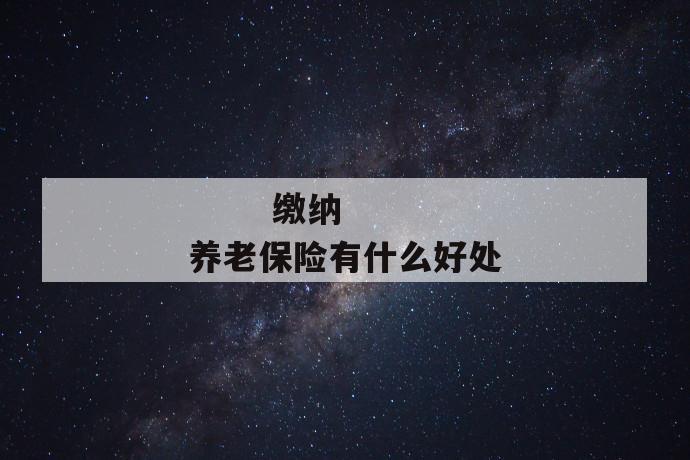 缴纳养老保险有什么好处
缴纳养老保险有什么好处