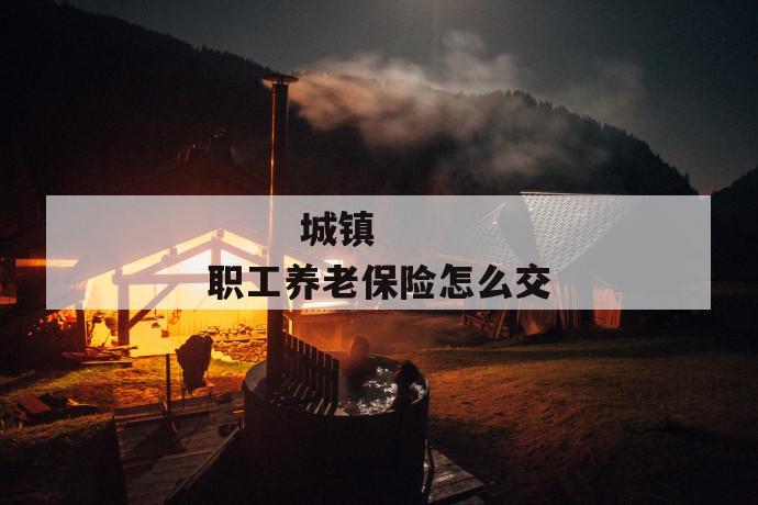 城镇职工养老保险怎么交
城镇职工养老保险怎么交