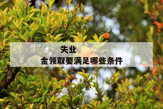 失业金领取要满足哪些条件
失业金领取要满足哪些条件