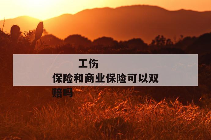 工伤保险和商业保险可以双赔吗
工伤保险和商业保险可以双赔吗
