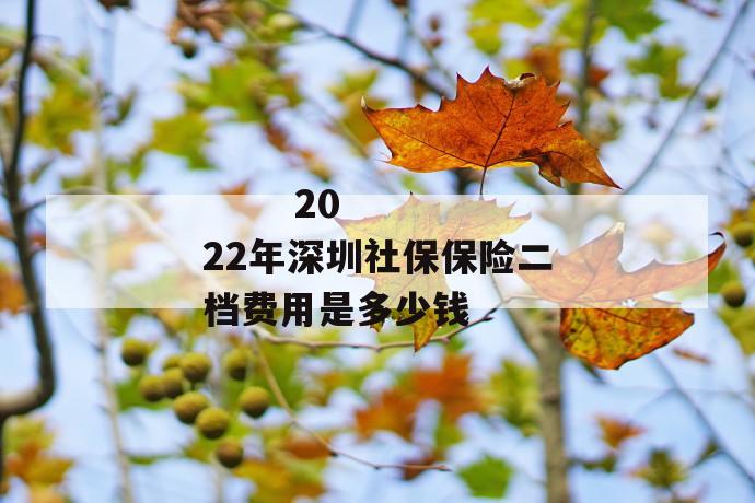 2022年深圳社保保险二档费用是多少钱
2022年深圳社保保险二档费用是多少钱