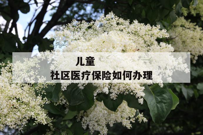 儿童社区医疗保险如何办理
儿童社区医疗保险如何办理