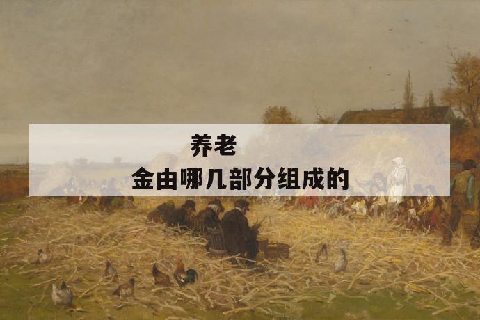 养老金由哪几部分组成的
养老金由哪几部分组成的