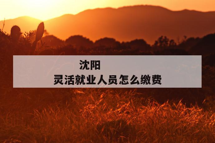 沈阳灵活就业人员怎么缴费
沈阳灵活就业人员怎么缴费