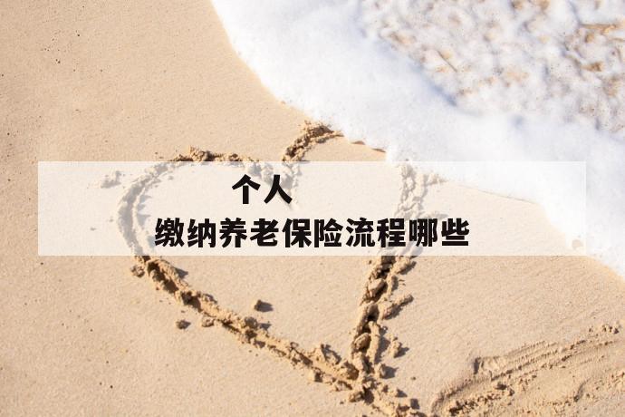个人缴纳养老保险流程哪些
个人缴纳养老保险流程哪些