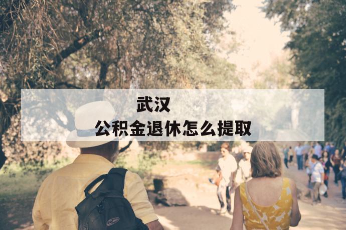 武汉公积金退休怎么提取
武汉公积金退休怎么提取