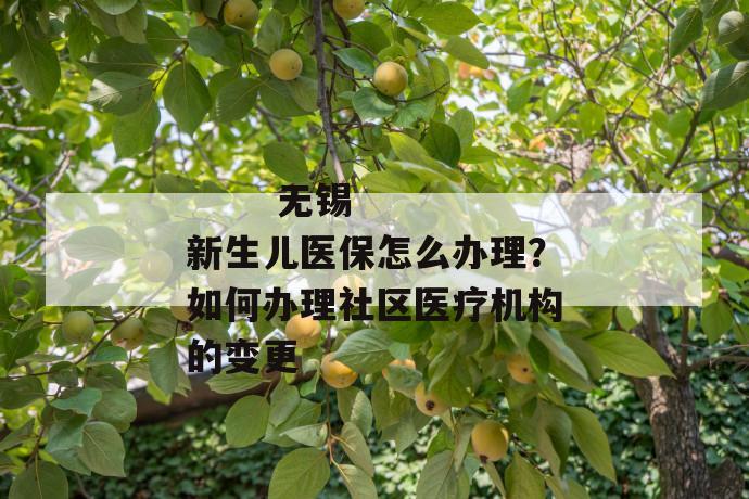 无锡新生儿医保怎么办理?如何办理社区医疗机构的变更
无锡新生儿医保怎么办理?如何办理社区医疗机构的变更