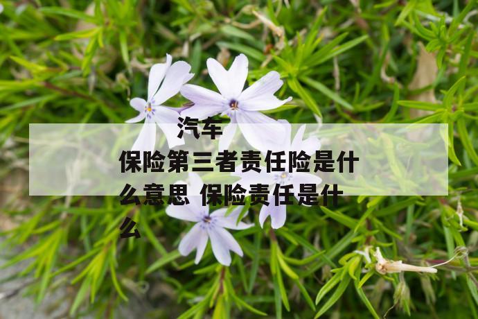 汽车保险第三者责任险是什么意思 保险责任是什么
汽车保险第三者责任险是什么意思 保险责任是什么