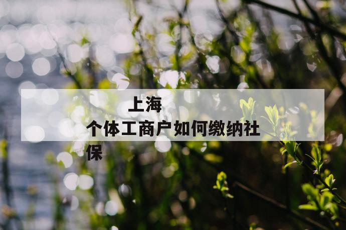 上海个体工商户如何缴纳社保
上海个体工商户如何缴纳社保
