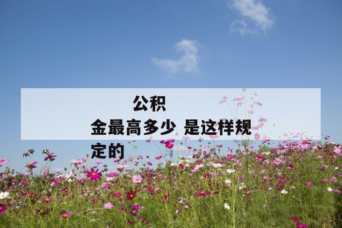 公积金最高多少 是这样规定的
公积金最高多少 是这样规定的