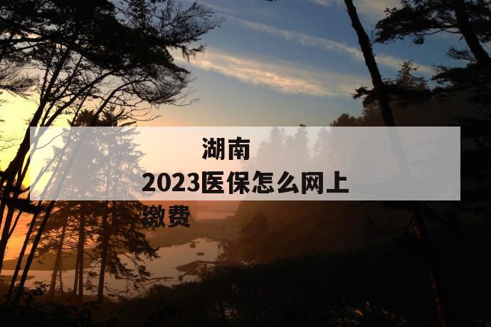 湖南2023医保怎么网上缴费
湖南2023医保怎么网上缴费