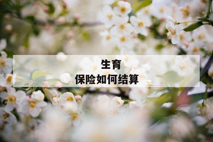 生育保险如何结算
生育保险如何结算
