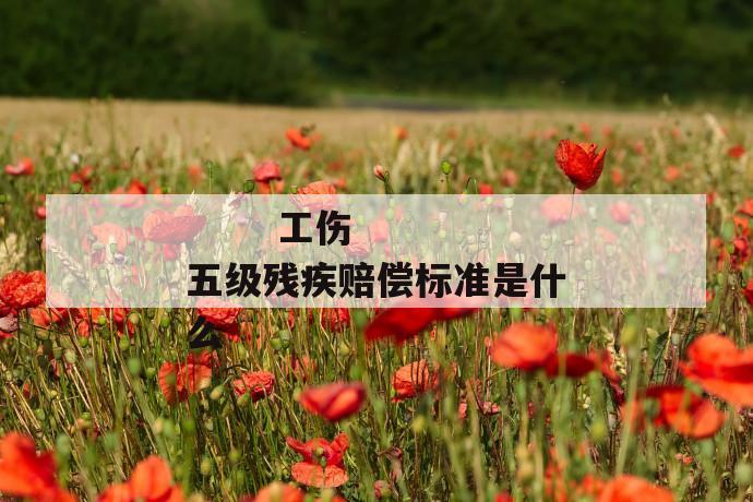 工伤五级残疾赔偿标准是什么
工伤五级残疾赔偿标准是什么