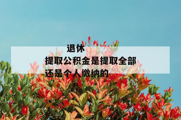 退休提取公积金是提取全部还是个人缴纳的
退休提取公积金是提取全部还是个人缴纳的