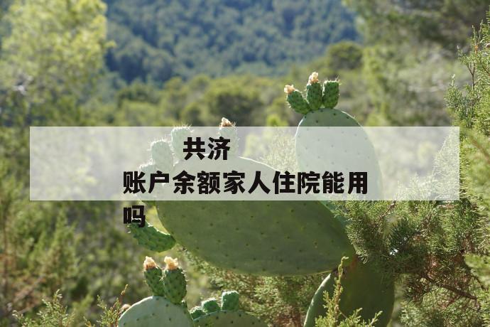 共济账户余额家人住院能用吗
共济账户余额家人住院能用吗