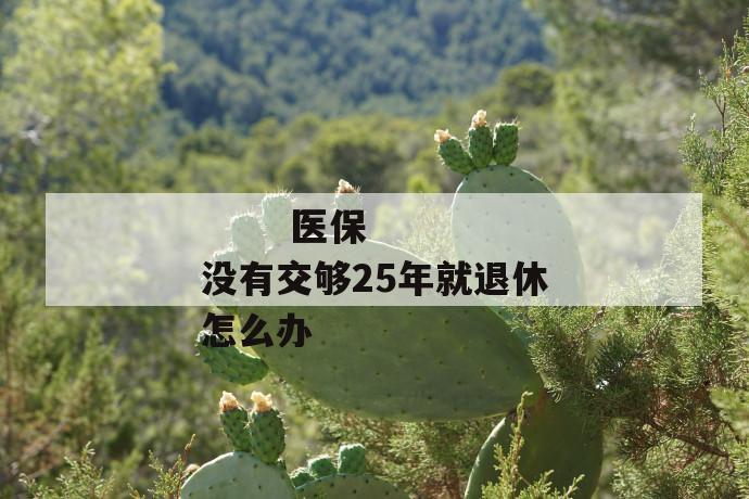 医保没有交够25年就退休怎么办
医保没有交够25年就退休怎么办