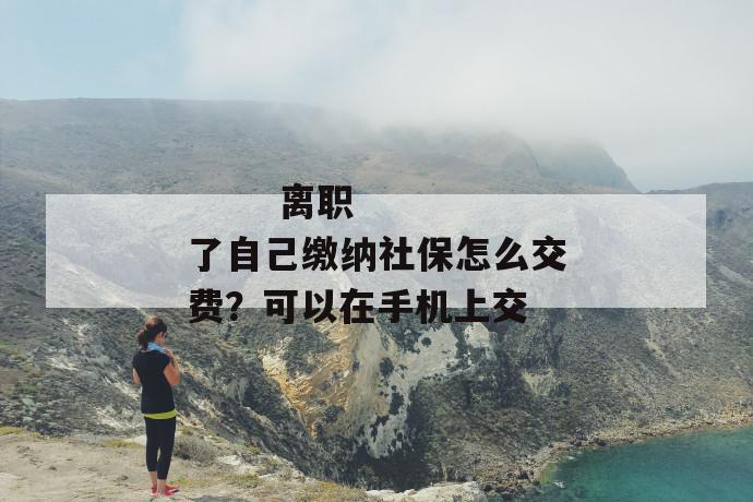 
       离职了自己缴纳社保怎么交费？可以在手机上交
     