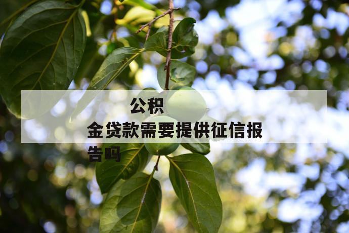 公积金贷款需要提供征信报告吗
公积金贷款需要提供征信报告吗