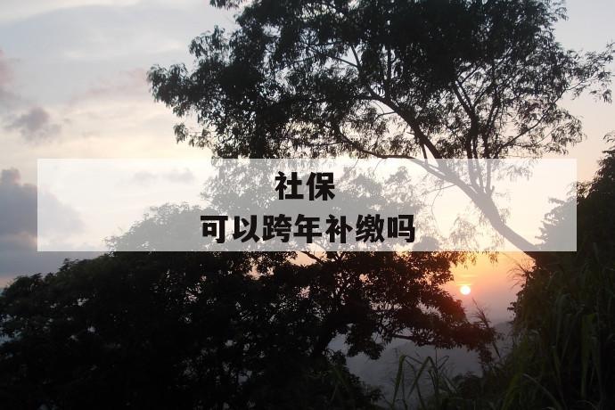 社保可以跨年补缴吗
社保可以跨年补缴吗