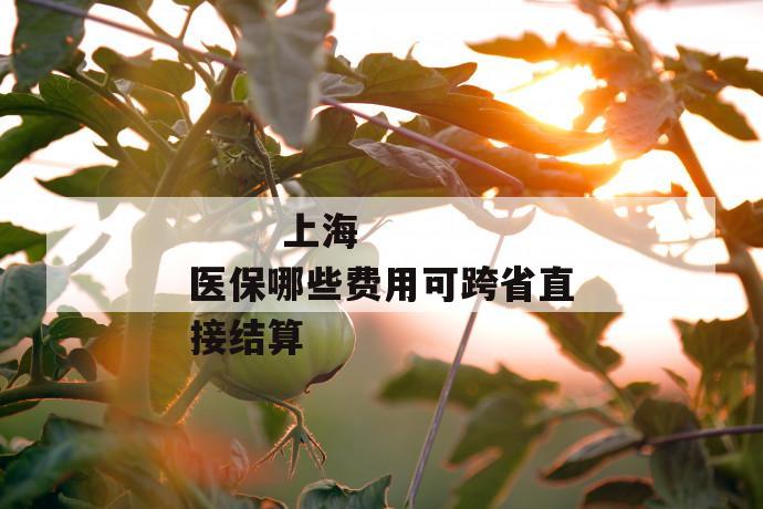 上海医保哪些费用可跨省直接结算
上海医保哪些费用可跨省直接结算