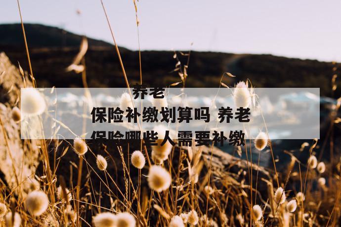 养老保险补缴划算吗 养老保险哪些人需要补缴
养老保险补缴划算吗 养老保险哪些人需要补缴