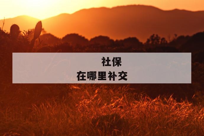 社保在哪里补交
社保在哪里补交