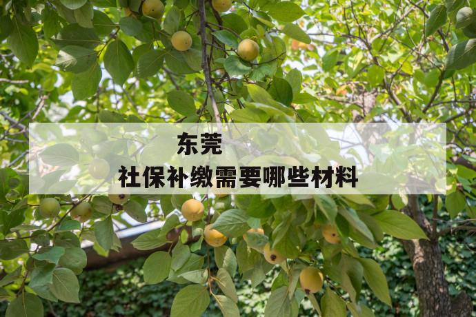 东莞社保补缴需要哪些材料
东莞社保补缴需要哪些材料