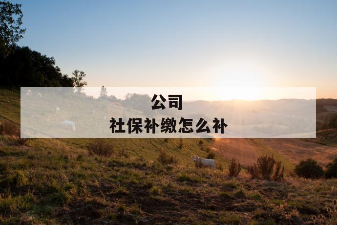 公司社保补缴怎么补
公司社保补缴怎么补
